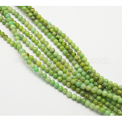 Natural Serpentine Beads Strands&nbsp;G-N166-1
