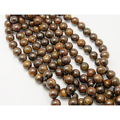 Natural Bronzite Beads Strands&nbsp;G-Q605-26