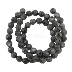 Natural Larvikite Beads Strands&nbsp;G865-102