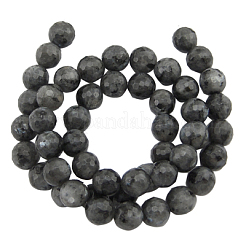 Natural Larvikite Beads Strands&nbsp;G866-102