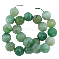 Natural Green Banded Agate Beads Strand&nbsp;G875-14MM