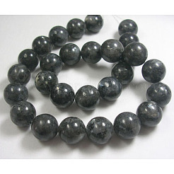 Natural Larvikite Beads Strands&nbsp;GSR14mmC128