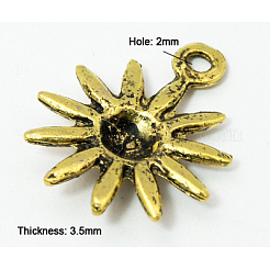 Tibetan Style Alloy Pendants&nbsp;K0910031