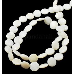 Natural Shell Beads Strands&nbsp;PBB-XXBK024Y-13