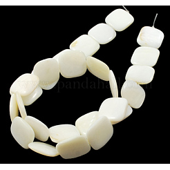 Natural Shell Beads Strands&nbsp;PBB-XXBK034Y-13