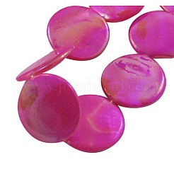 Handmade Natural Shell Beads Strands&nbsp;PBB-XXBK199Y-DD