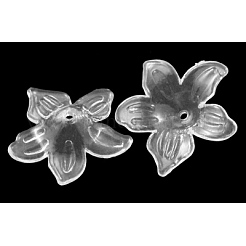 Transparent Acrylic Beads&nbsp;PL674Y