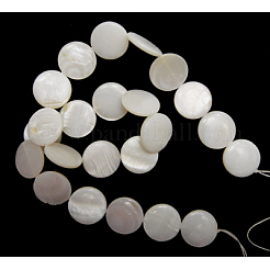 Natural Freshwater Shell Beads&nbsp;S00C20A2