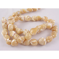 Erose Natural Shell Beads Strands&nbsp;SH012