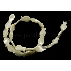 Natural White Shell Beads Strands&nbsp;SSHEL-18X10