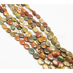Natural Picasso Stone/Picasso Jasper Beads Strands&nbsp;TURQ-H035-17