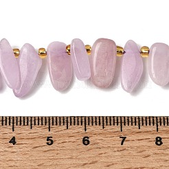 Natural Kunzite Beads Strands&nbsp;G-P604-A26-01