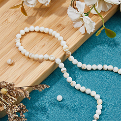 2 Strands Natural Freshwater Shell Round Beads Strands&nbsp;SHEL-HS0001-09