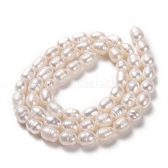 Natural Cultured Freshwater Pearl Beads Strands&nbsp;PEAR-L033-65