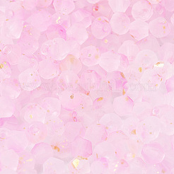 100g Frosted Glass Beads&nbsp;FGLA-PA0001-01C