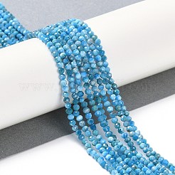 Natural Apatite Beads Strands&nbsp;G-P542-A06-02