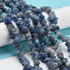 Dyed & Heated Natural Blue Aventurine Chip Beads Strands&nbsp;G-M205-10C