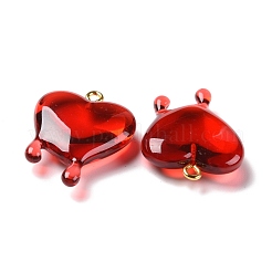 Transparent Resin Pendants&nbsp;RESI-F028-01