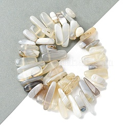 Natural Grey Agate Beads Strands&nbsp;G-G117-C06-01