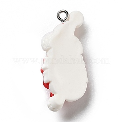 Opaque Resin Pendants&nbsp;RESI-D055-119P