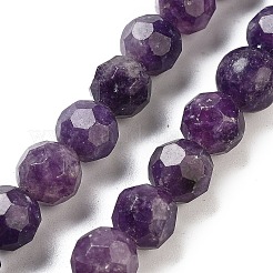 Natural Lepodolite Beads Strands&nbsp;G-C150-B03-01