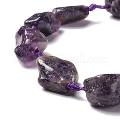 Natural Amethyst Beads Strands&nbsp;G-B024-14