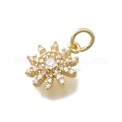 Brass Micro Pave Clear Cubic Zirconia Charms&nbsp;KK-D431-064G