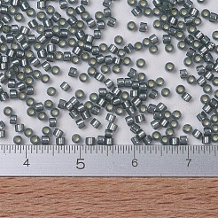 MIYUKI Delica Beads&nbsp;SEED-JP0008-DB0697