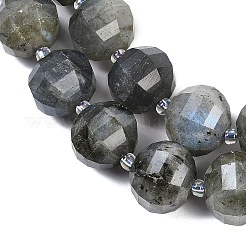 Natural Labradorite Beads Strands&nbsp;G-G182-B02-07