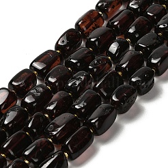 Natural Amber Beads Strands&nbsp;G-L095-H01-01