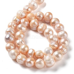 Natural Cultured Freshwater Pearl Beads Strands&nbsp;PEAR-E019-18