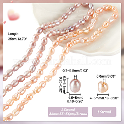 2 Strands 2 Styles Natural Cultured Freshwater Pearl Beads Strands&nbsp;PEAR-GA0001-03