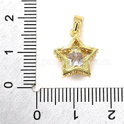 Brass Micro Pave Cubic Zirconia Charms&nbsp;LS-KK-R227-04G