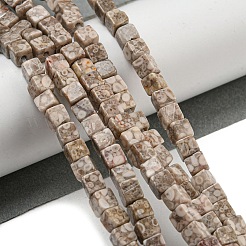 Natural Maifanite Beads Strands&nbsp;G-F631-K26