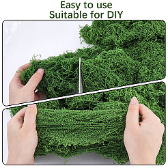 Polyester Artificial Moss&nbsp;DIY-CN0003-92C