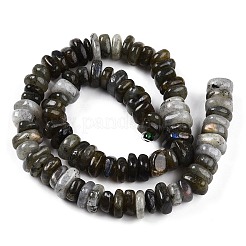 Natural Labradorite Beads Strands&nbsp;G-T141-09
