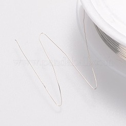 Copper Jewelry Wire&nbsp;CW0.2mm006