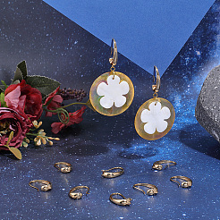 10Pcs Oval Brass Earring Hooks&nbsp;KK-BBC0028-97