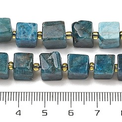 Natural Apatite Beads Strands&nbsp;G-G053-B18-04