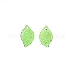 Transparent Acrylic Pendants&nbsp;X-TACR-T012-06