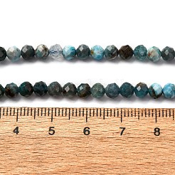Natural Apatite Beads Strands&nbsp;LS-G-A276-C08-4mm-01