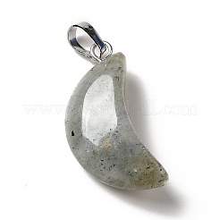 Natural Labradorite Pendants&nbsp;G-Z022-05C