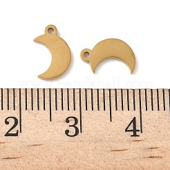 304 Stainless Steel Charms&nbsp;STAS-K306-17B-G