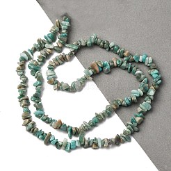 Natural Amazonite Chip Beads Strands&nbsp;G-M205-64-1