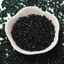 Spray Painted Glass Seed Beads&nbsp;SEED-F005-10A-03