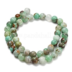 Natural Chalcedony Beads Strands&nbsp;G-C259-B03-8mm