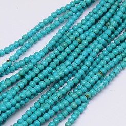 Synthetic Turquoise Beads Strands&nbsp;TURQ-G106-3mm-01F