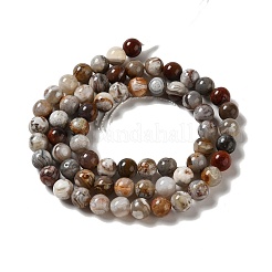Natural Mexican Lace Agate Beads Strands&nbsp;G-E578-02A