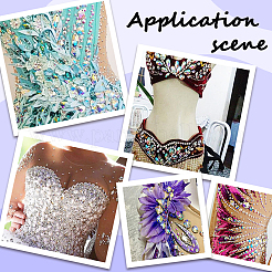 20Pcs 2 Style Sew on Rhinestone&nbsp;RGLA-GF0001-11