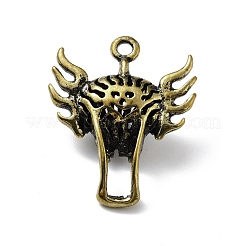 Halloween Alloy Pendants&nbsp;FIND-G019-05AB